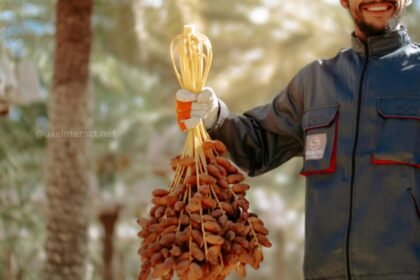 UAE Date Farmer Hopes to Be ‘Master of His Field’ as Harvest Season Begins