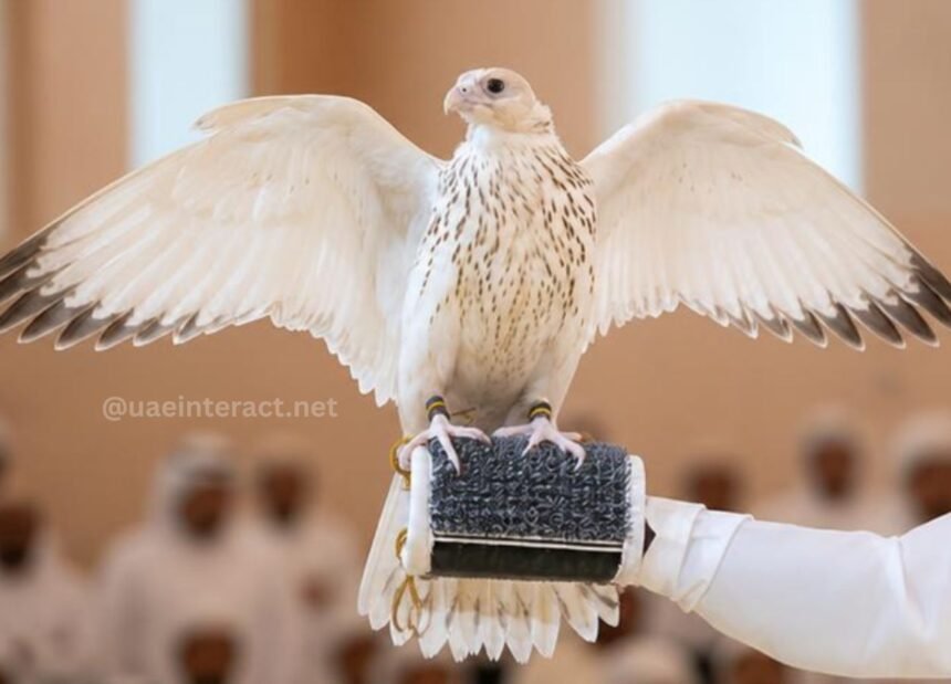 Abu Dhabi Auction Sets New World Record as Falcon Fetches Dh2.1 Million